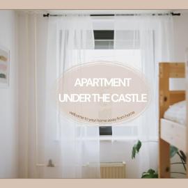 Apartment Under the Castle，位于Radlje ob Dravi的酒店