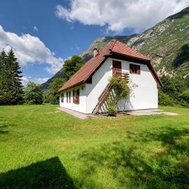 House Flajs - secluded 2BR Surrounded by Forest