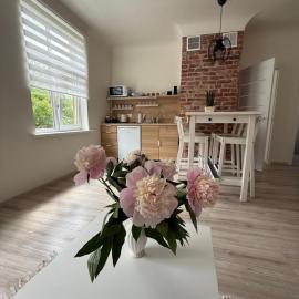 Parka ielas apartamenti，位于林巴日的酒店