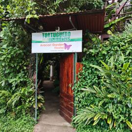 Aracari Garden Hostel，位于托尔图格罗的酒店
