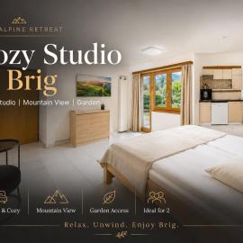 Cozy Studio in Brig，位于Gamsen的酒店