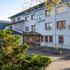 Logis Hotel les Sapins，位于勒梅尼勒的酒店