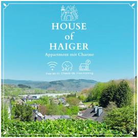 House of Haiger Ferienwohnung mit Charme，位于海格尔的酒店