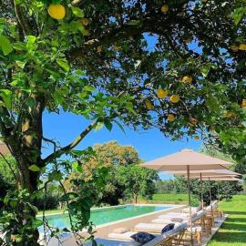 Terra Rosa Country House & Vineyards，位于蓬德利马的酒店