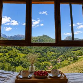 Dúplex con vistas a Picos de Europa y Proyector de Cine 120 pulgadas，位于Bores的酒店