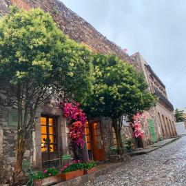 Hotel Boutique Morada De Paz，位于雷亚尔卡托尔塞的酒店