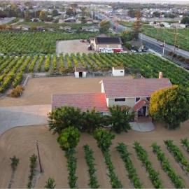 Vintage Vineyard Estate，位于Oakley的酒店