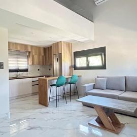 Villa Ziglos by Karda Suites，位于希俄斯的酒店