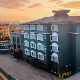 The Olive Hotel Srinagar，位于斯利那加的酒店