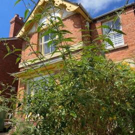 Glen Villa - 3 bedroom house - Stroud town centre，位于斯特劳德的酒店