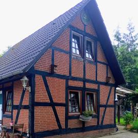 The Red House，位于策勒的酒店