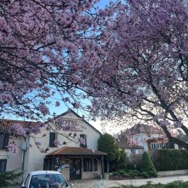 Maison Legate "Hôtel Le Baudiere & Spa"，位于圣比兹的酒店