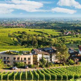 Hotel Rebenhof，位于巴登-巴登的酒店