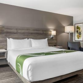 Amsterdam Inn & Suites, an Ascend Collection Hotel，位于弗雷德里克顿的酒店