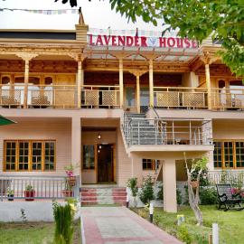 Lavender House，位于努布拉的酒店