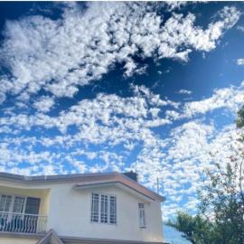 Lotus Villa Homestay，位于甘托克的酒店