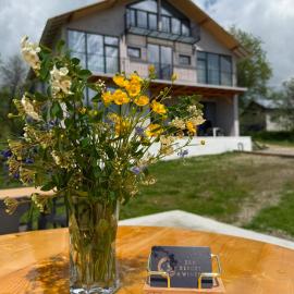 Zen Resort and Winery，位于斯勒尼克的酒店