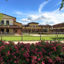 Agriturismo Il Boschetto，位于奥尔纳格的酒店