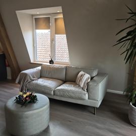 Stylish Apartment with Beamer Near the Station，位于博德赫拉芬的酒店