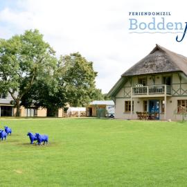 Ferienwohnungen Boddenfischer，位于博恩的酒店