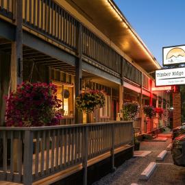 Timber Ridge Lodge Ouray，位于乌雷的酒店