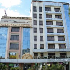Eagle Palace Hotel，位于纳库鲁的酒店