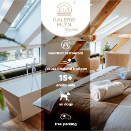 Boutique hotel Galerie mlýn Žeraviny - Adults Only，位于Žeraviny的酒店