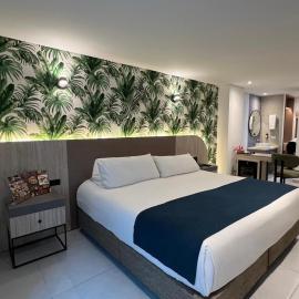 Zi One Luxury Hotel，位于佩雷拉的酒店