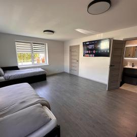 Cozy Spark Studio Apartment，位于Kelmė的酒店