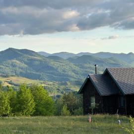 Dealul Notarasului Retreat，位于Gara Piatra Craiului的酒店