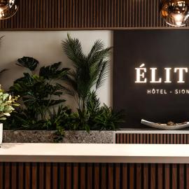 Hôtel Elite，位于锡永的酒店