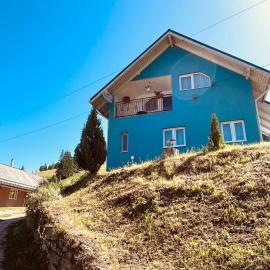 Casa Butunoi，位于Dămuc的酒店
