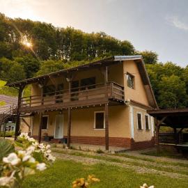 Cabana Din Pădure，位于锡吉什瓦拉的酒店
