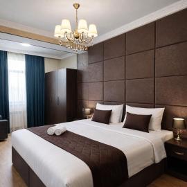 Golden Nizami Street Hotel，位于巴库的酒店