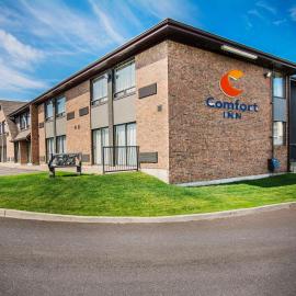 Comfort Inn，位于埃德门兹顿的酒店