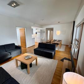 Ylläs Chalets 7305，位于于莱的酒店