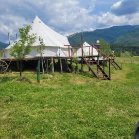 Nucsoara Glamping Cozy，位于Nucşoara的酒店