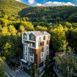 Pine Hotel & Spa Brezovice，位于布雷佐维察的酒店