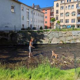 Urlaubsmagie Ferienwohnung Fledermaus - Gemeinschaftsgarten mit Sauna - F1B