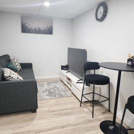 E & T 1 Bedroom Executive Suite，位于温尼伯的酒店