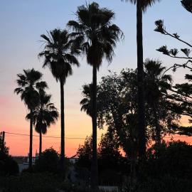 Finca Los Olivos & spa, animaux，位于乌特雷拉的酒店