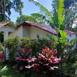 PETIT PARADIS CABAÑA Catemaco Rainforest Nature