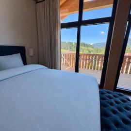 Neue Chalets im Tannheimer Tal，位于容霍尔茨的酒店