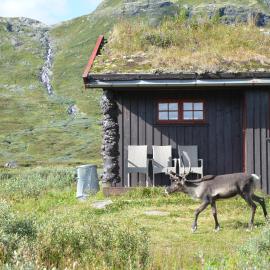 Tyinholmen hytter，位于Eidsbugarden的酒店