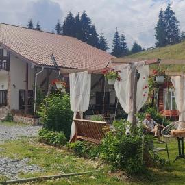Pensiunea Trei Brazi Arieseni，位于阿列谢尼的酒店
