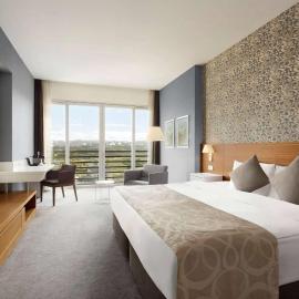 Wyndham Istanbul Asia Airport，位于盖布泽的酒店