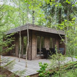 Private Forest Cabin Quiet Nature Stay for 3，位于Paluküla的酒店