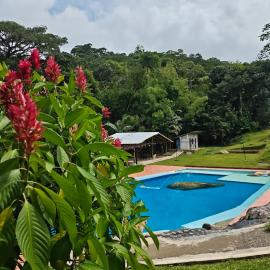 Finca Agroturística La pradera，位于阿卡西亚斯的酒店