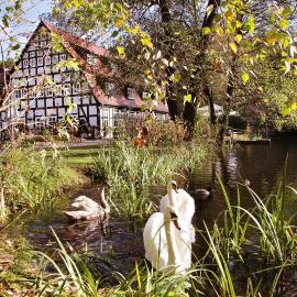 Springbach-Mühle Belzig，位于巴特贝尔齐希的酒店