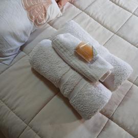 Habitación doble con baño compartido en una amplia y confortable casa，位于特雷利乌的酒店